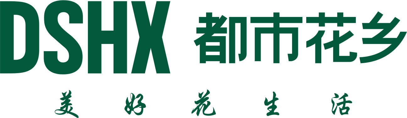 DSHX 都市花乡，美好花生活
